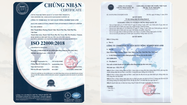 Nấm Đông Trùng Hạ Thảo Ký Chủ Tằm Loại 1 - Sấy Thăng Hoa 5 1