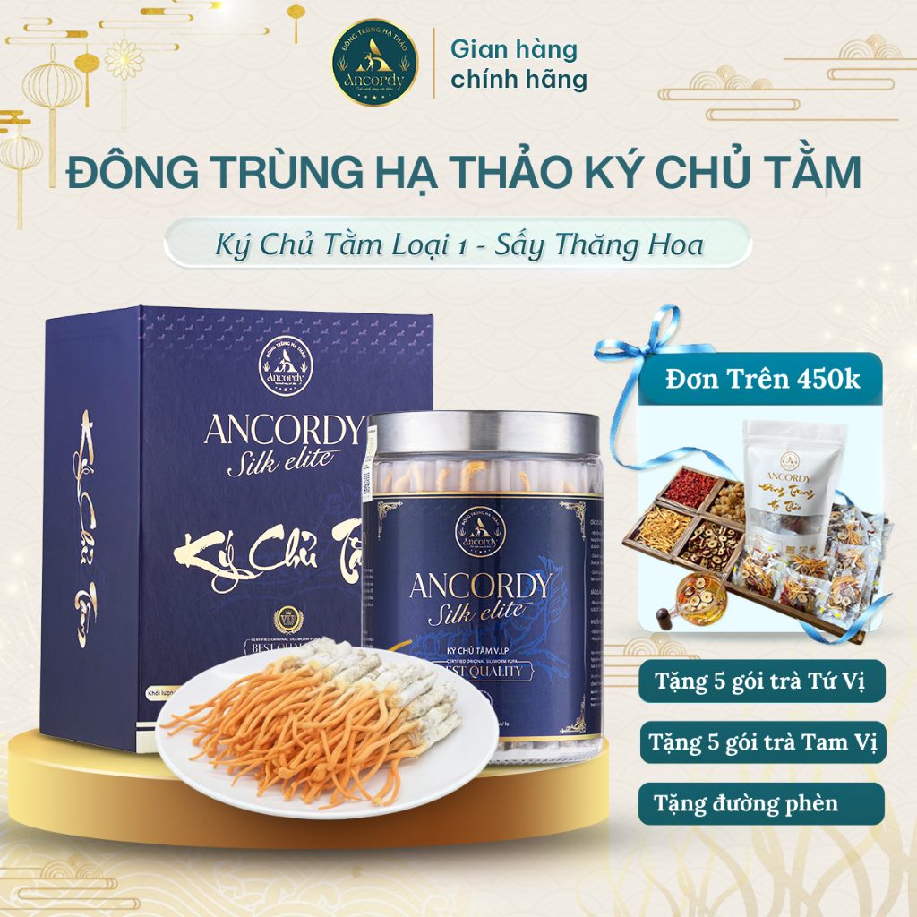 Đông Trùng Hạ Thảo Ký Chủ Tằm Loại 1, Sấy Thăng Hoa Nuôi Cấy Vô Khuẩn, Đông Trùng Ancordy 65con/lọ