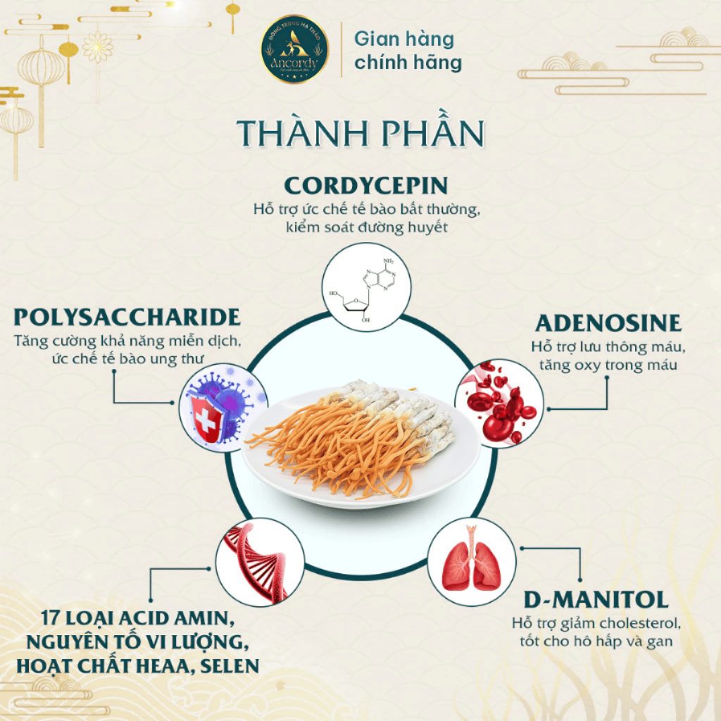 Đông Trùng Hạ Thảo Ký Chủ Tằm Loại 1, Sấy Thăng Hoa Nuôi Cấy Vô Khuẩn, Đông Trùng Ancordy 65con/lọ