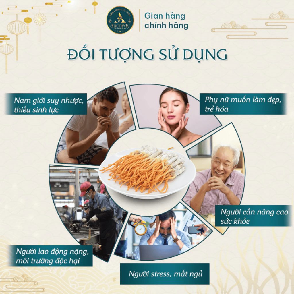Đông Trùng Hạ Thảo Ký Chủ Tằm Loại 1, Sấy Thăng Hoa Nuôi Cấy Vô Khuẩn, Đông Trùng Ancordy 65con/lọ