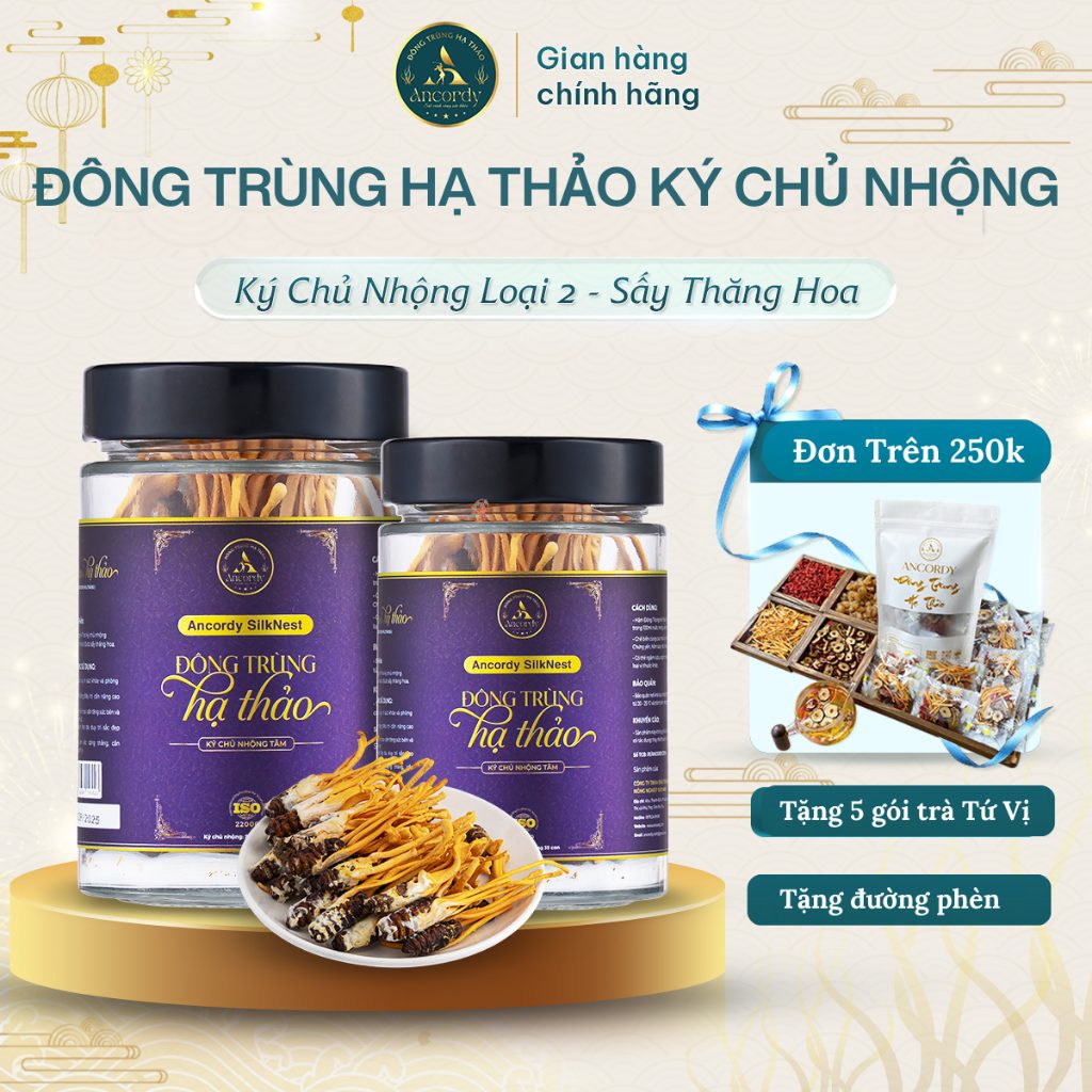 Đông Trùng Hạ Thảo Ancordy, Ký Chủ Nhộng Tằm Loại 2, Sây Thăng Hoa Nuôi Cấy Vô Khuẩn, KL 35 Con/lọ