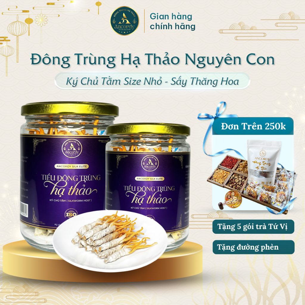 Đông Trùng Hạ Thảo Ancordy, Kí Chủ Tằm Size Nhỏ, Sấy Thăng Hoa Nuôi Cấy Vô Khuẩn 45 Con/lọ