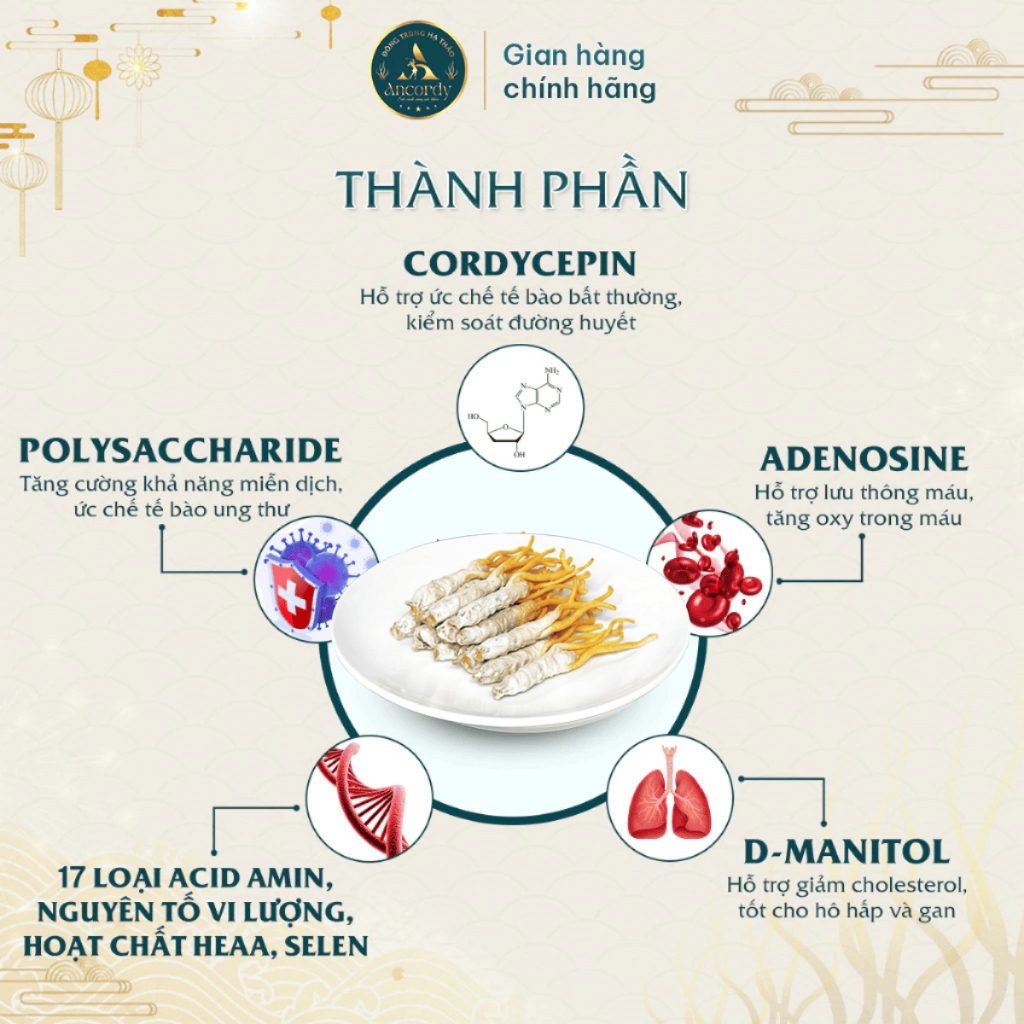 Đông Trùng Hạ Thảo Ancordy, Kí Chủ Tằm Size Nhỏ, Sấy Thăng Hoa Nuôi Cấy Vô Khuẩn 45 Con/lọ