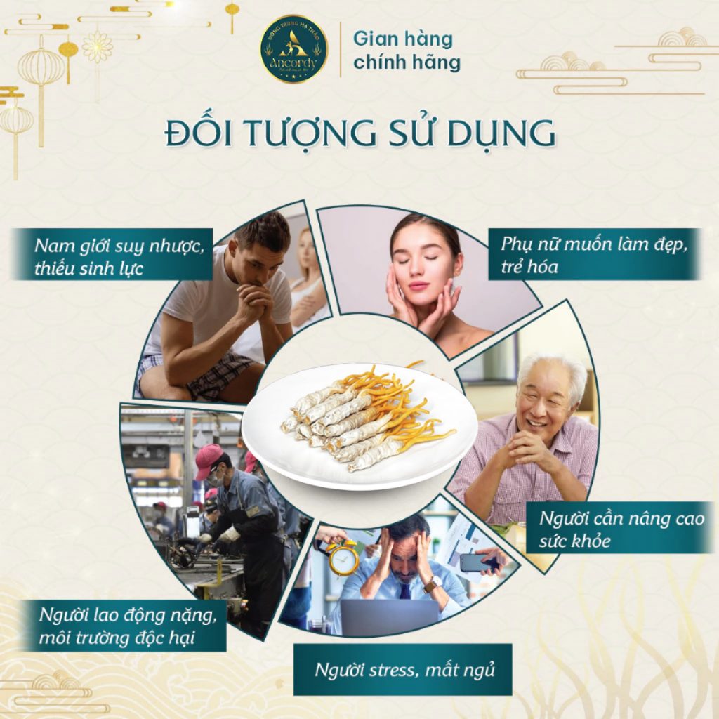 Đông Trùng Hạ Thảo Ancordy, Kí Chủ Tằm Size Nhỏ, Sấy Thăng Hoa Nuôi Cấy Vô Khuẩn 45 Con/lọ