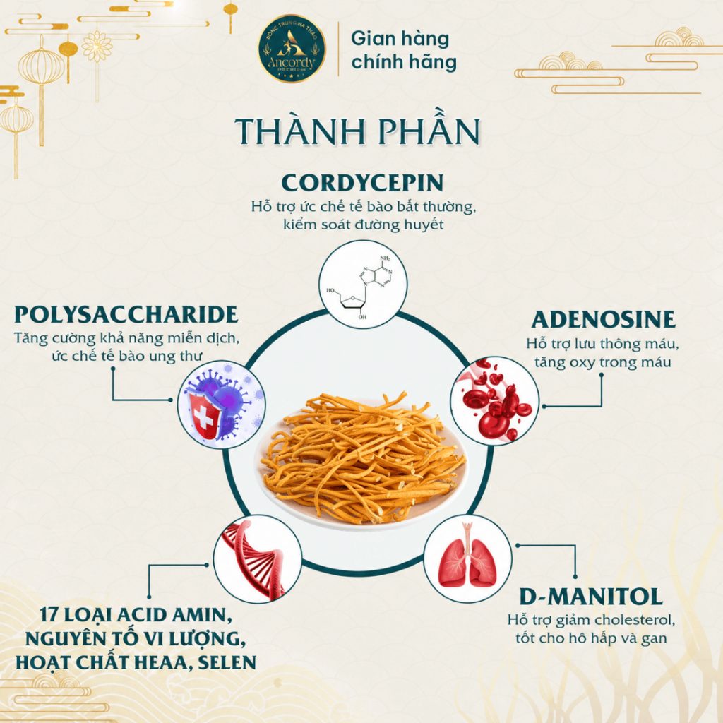 Đông Trùng Hạ Thảo Ancordy Sợi Rối, Sấy Thăng Hoa Nuôi Cấy Vô Khuẩn, Đông Trùng Giá Thể Gạo Lứt