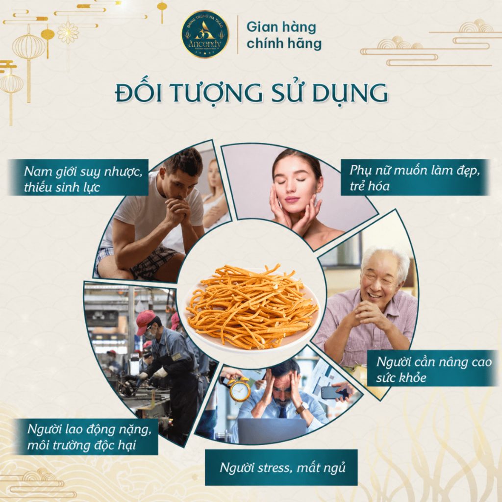 Đông Trùng Hạ Thảo Ancordy Sợi Rối, Sấy Thăng Hoa Nuôi Cấy Vô Khuẩn, Đông Trùng Giá Thể Gạo Lứt