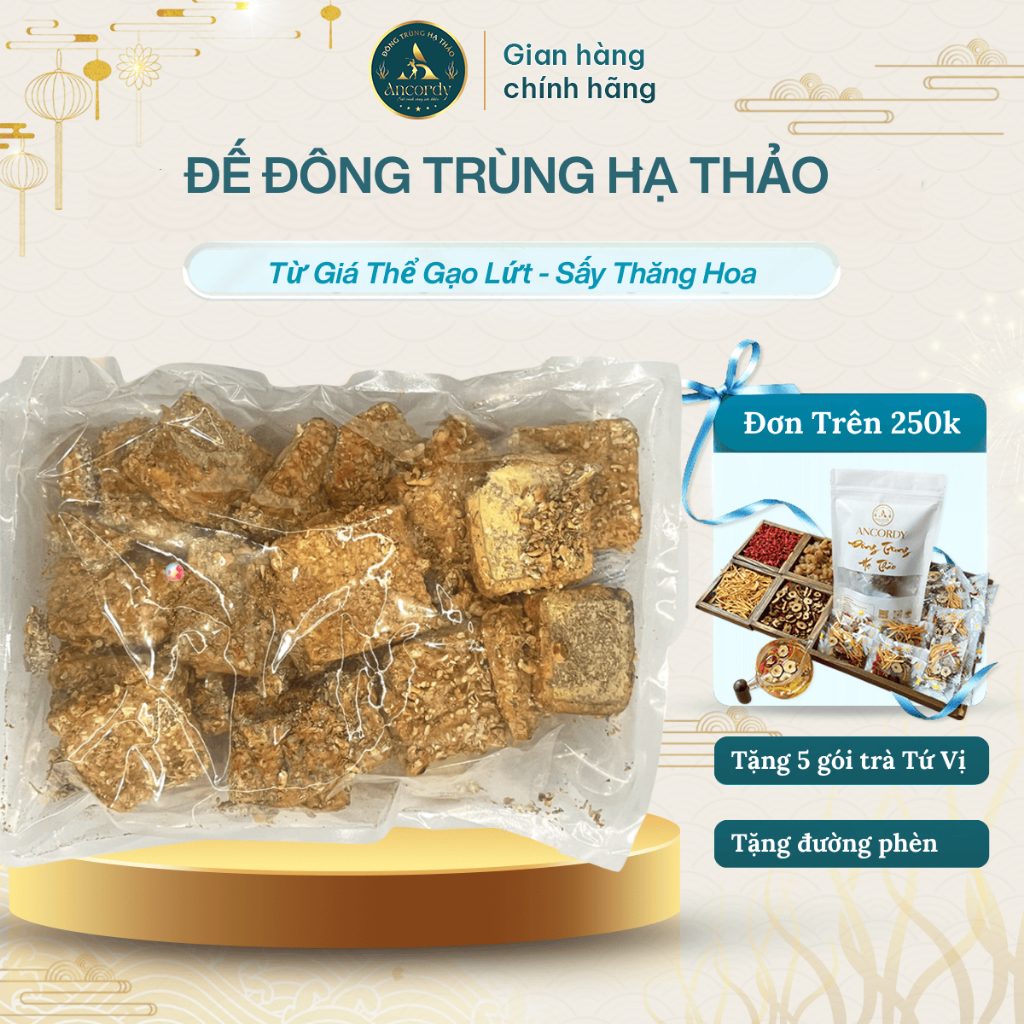Đế Đông Trùng Hạ Thảo Ancordy, Đông Trùng Giá Thể Gạo Lứt, Được Sấy Thăng Hoa, KL 500 gram/túi