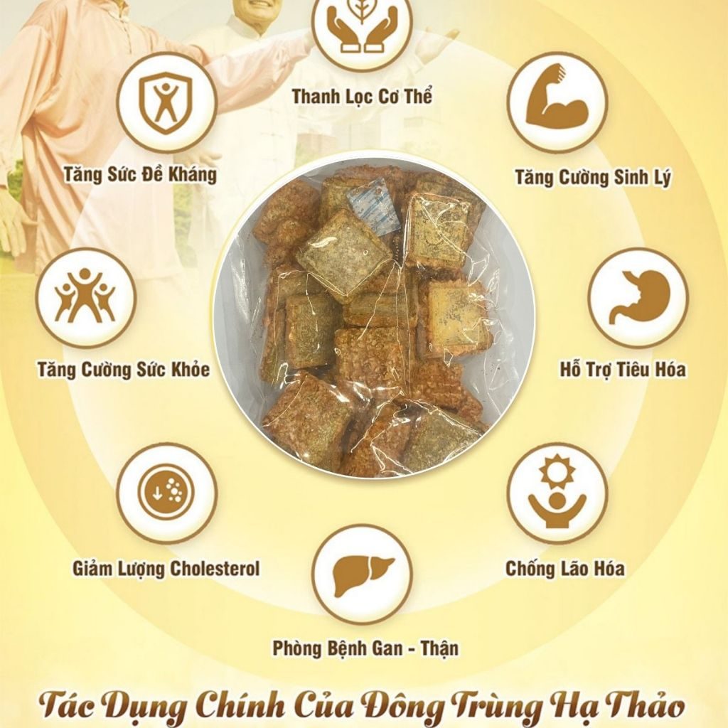 Đế Đông Trùng Hạ Thảo Ancordy, Đông Trùng Giá Thể Gạo Lứt, Được Sấy Thăng Hoa, KL 500 gram/túi