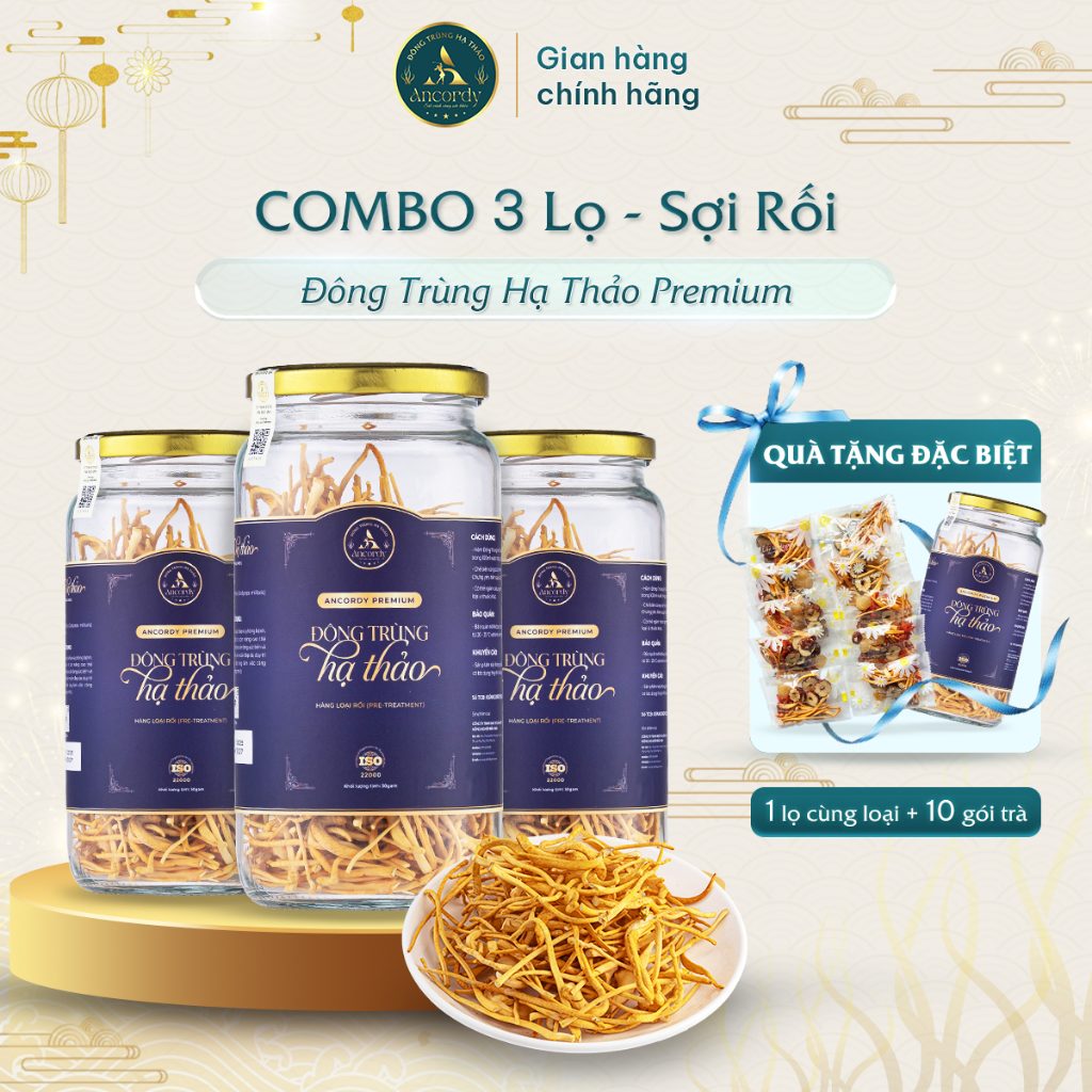 Combo Mua 3 Tặng 1, Đông Trùng Hạ Thảo Ancordy Premium Sợi Rối, Sấy Thăng Hoa Nuôi Cấy Vô Khuẩn