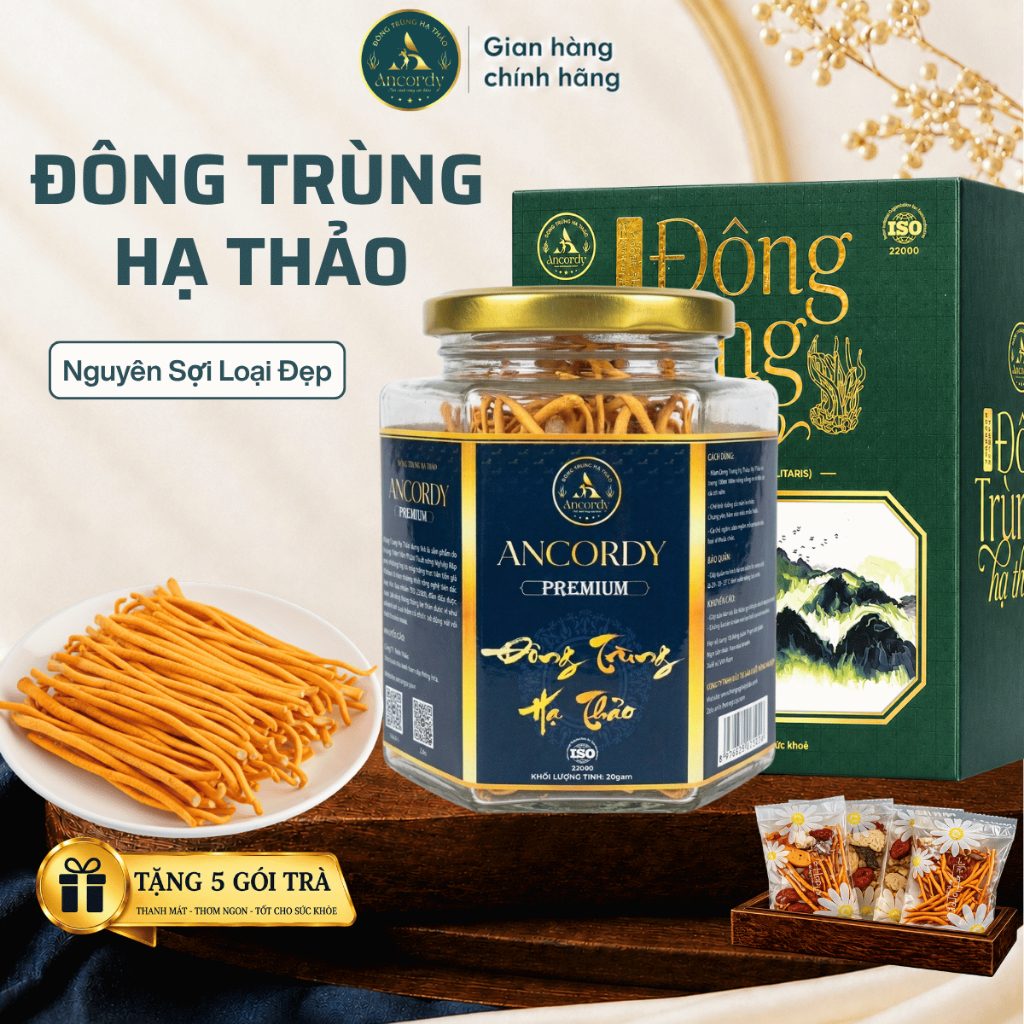Đông Trùng Hạ Thảo Ancordy Premium, Giá Thể Gạo Lứt Sấy Thăng Hoa, Dược Chất Cao, Nấm Đông Trùng VIP