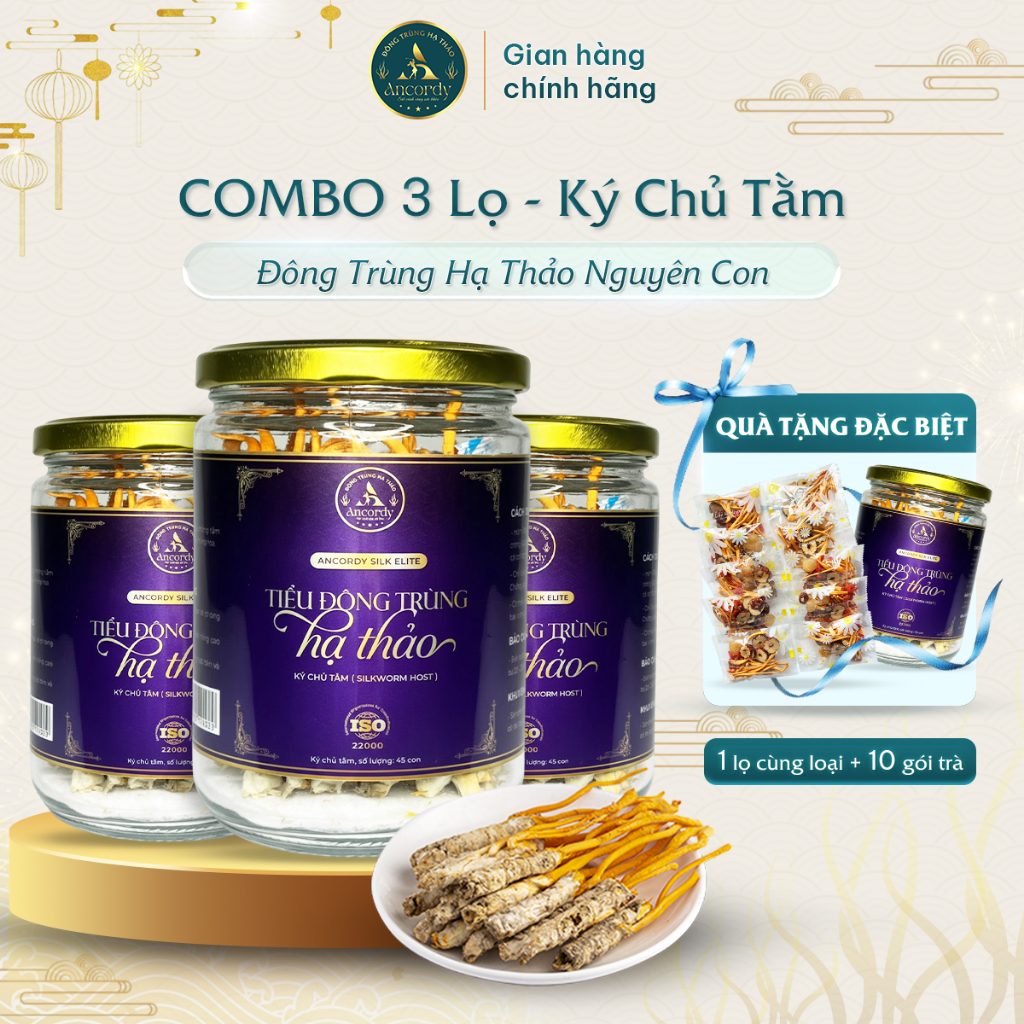 Combo 3 Lọ Đông Trùng Hạ Thảo, Ancordy Silk Elite Size Nhỏ, Khối Lượng Nấm Đông Trùng Là 45 con/lọ