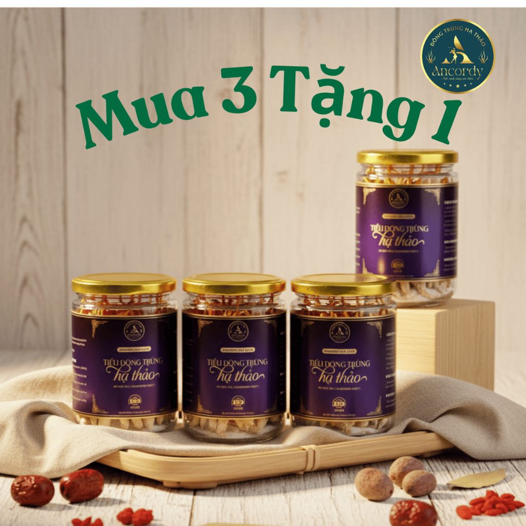 Combo 3 Lọ Đông Trùng Hạ Thảo, Ancordy Silk Elite Size Nhỏ, Khối Lượng Nấm Đông Trùng Là 45 con/lọ