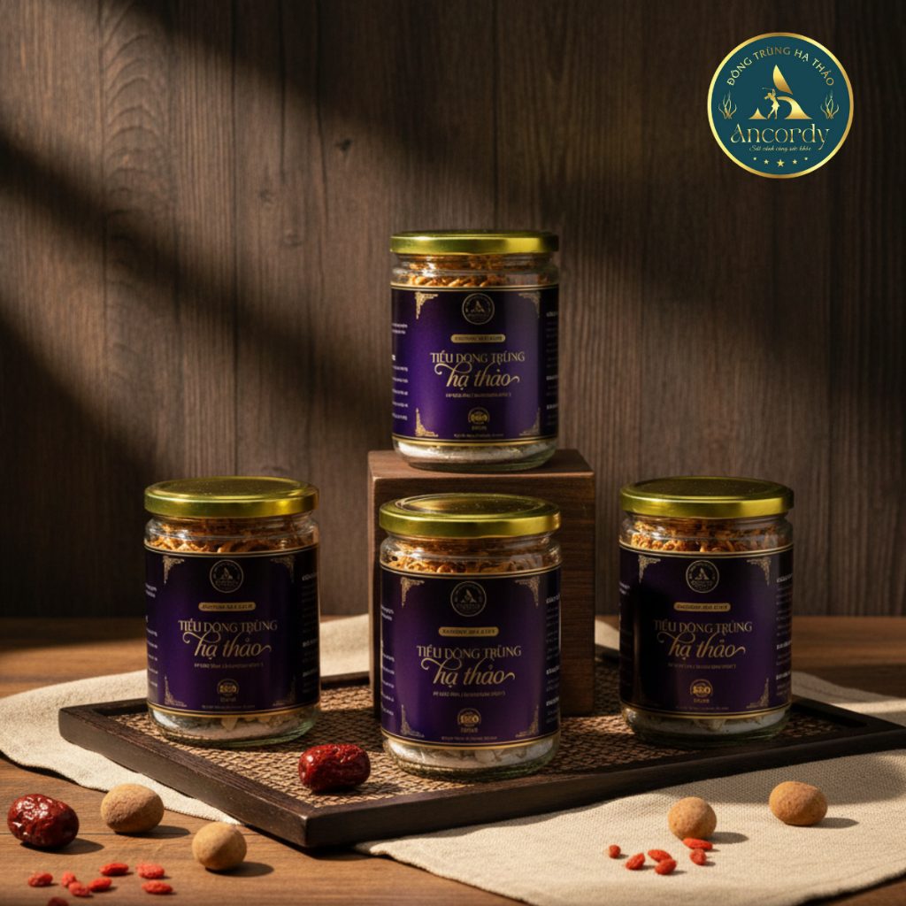 Combo 3 Lọ Đông Trùng Hạ Thảo, Ancordy Silk Elite Size Nhỏ, Khối Lượng Nấm Đông Trùng Là 45 con/lọ