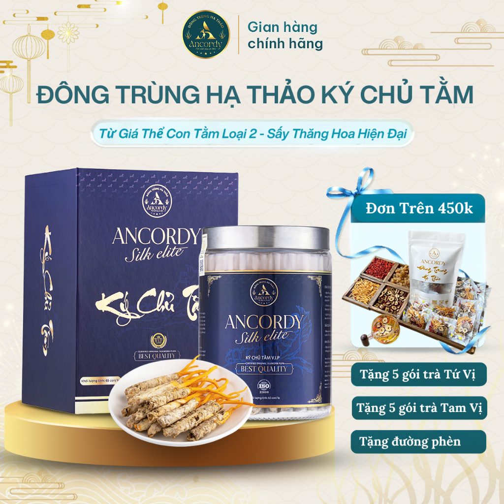 Đông Trùng Hạ Thảo Ancordy, Ký Chủ Tằm Loại 2, Sấy Thăng Hoa Nuôi Cấy Vô Khuẩn, Đông Trùng Ancordy