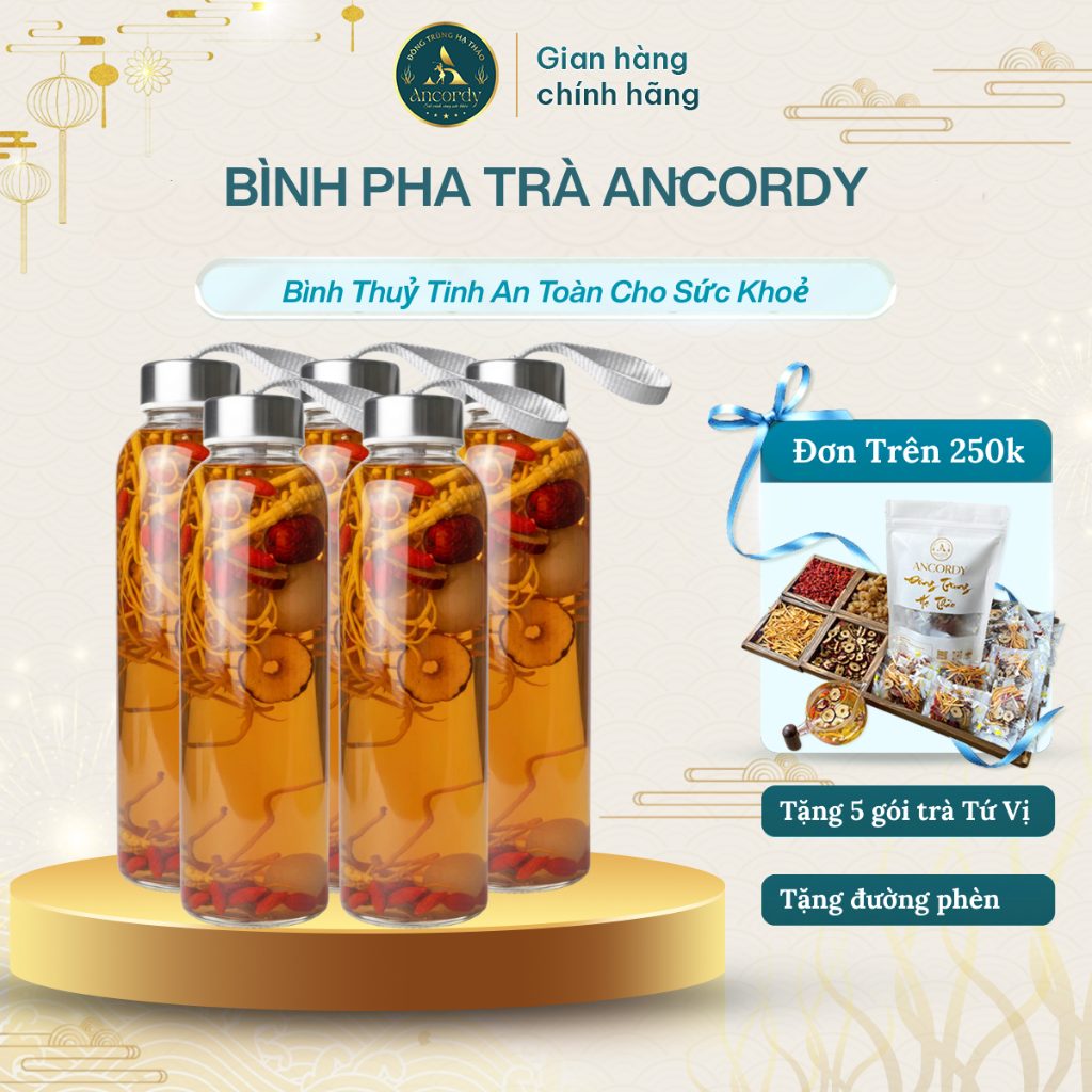 Phụ Kiện Bình Trà Đông Trùng Tứ Vị Ancordy