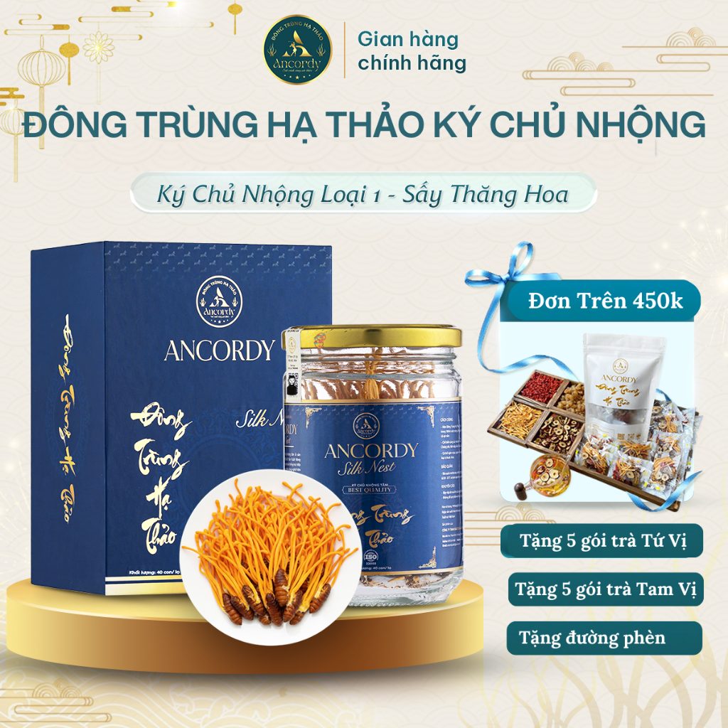 Đông Trùng Hạ Thảo Ancordy, Ký Chủ Nhộng Tằm Loại 1, Sấy Thăng Hoa Nuôi Cấy Vô Khuẩn, KL 40 Con/lọ