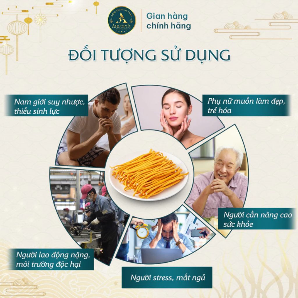 Nấm Đông Trùng Hạ Thảo Premium Sấy Khô Thăng Hoa Chính Hãng, Dược chất Cao, Nuôi Vô Khuẩn Ancordy
