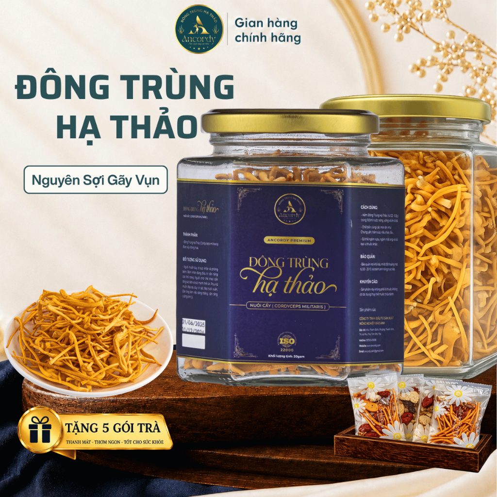 Đông Trùng Hạ Thảo Gãy Vụn, Sấy Thăng Hoa Nuôi Cấy Vô Khuẩn, Giá Thể Gạo Lứt, Nấm Đông Trùng Ancordy