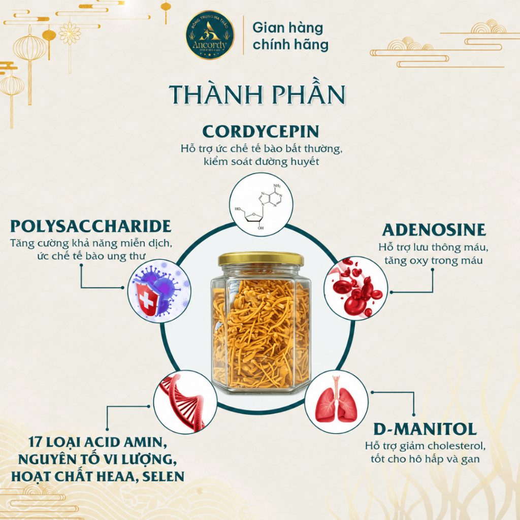 Đông Trùng Hạ Thảo Gãy Vụn, Sấy Thăng Hoa Nuôi Cấy Vô Khuẩn, Giá Thể Gạo Lứt, Nấm Đông Trùng Ancordy