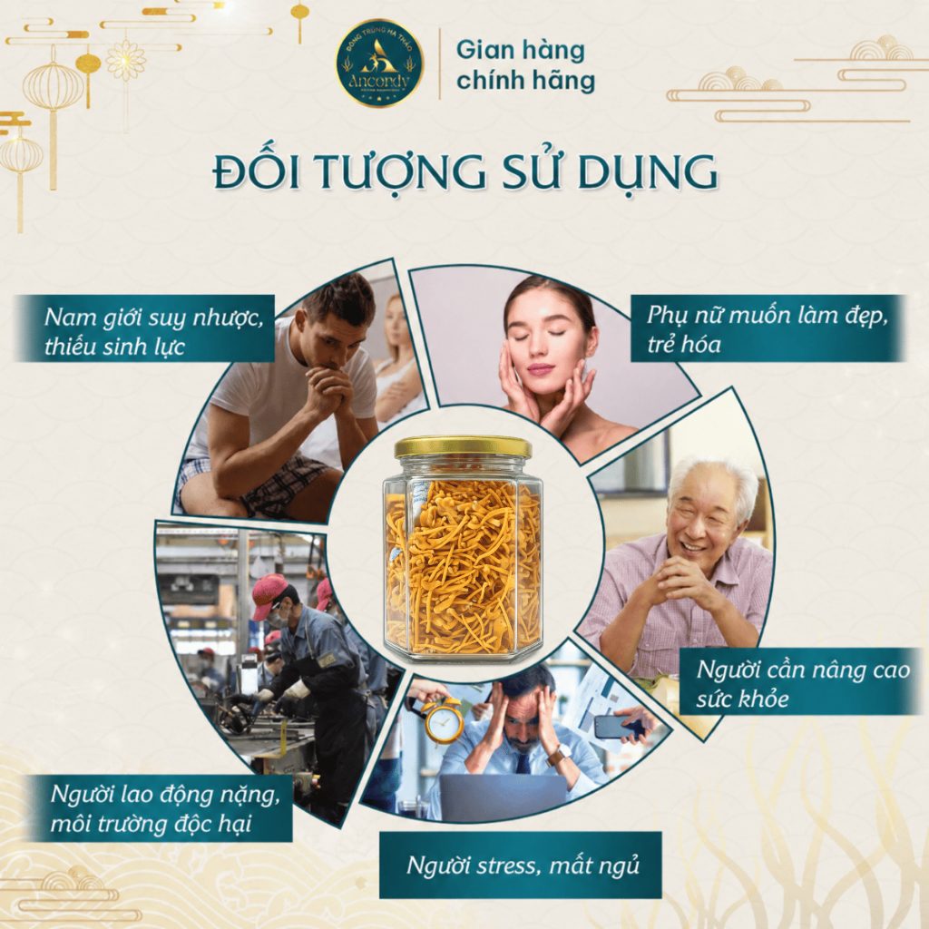 Đông Trùng Hạ Thảo Gãy Vụn, Sấy Thăng Hoa Nuôi Cấy Vô Khuẩn, Giá Thể Gạo Lứt, Nấm Đông Trùng Ancordy
