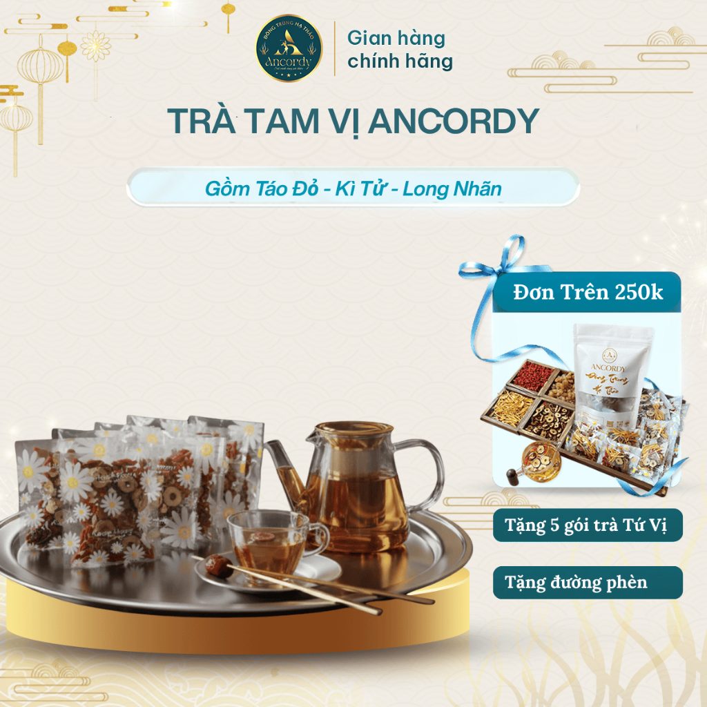 Trà Tam Vị (Táo Đỏ, Long Nhãn, Kỳ Tử) Pha Cùng Đông Trùng Hạ Thảo Ancordy