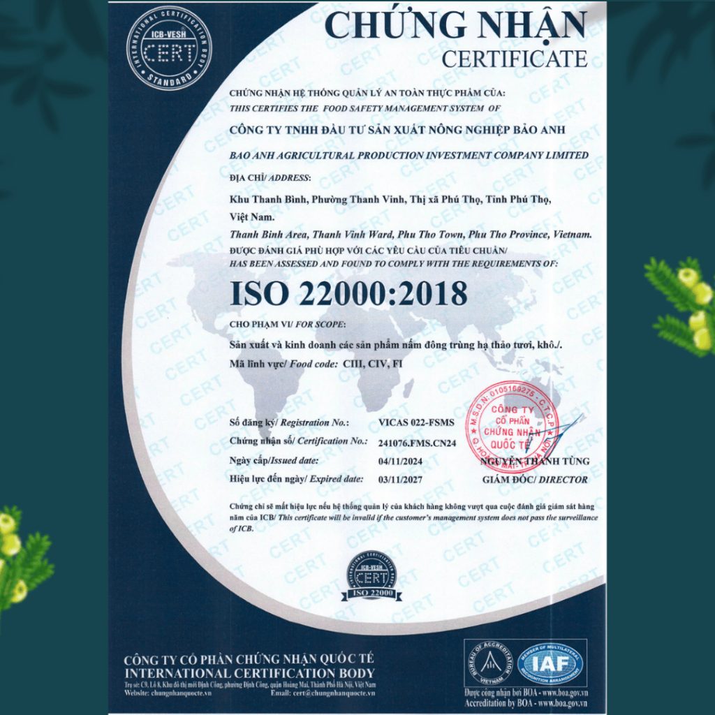 Long Nhãn Sấy Khô Hưng Yên Thượng Hạng, Cùi Dày, Dẻo, Thơm Không Chất Bảo Quản Ancordy