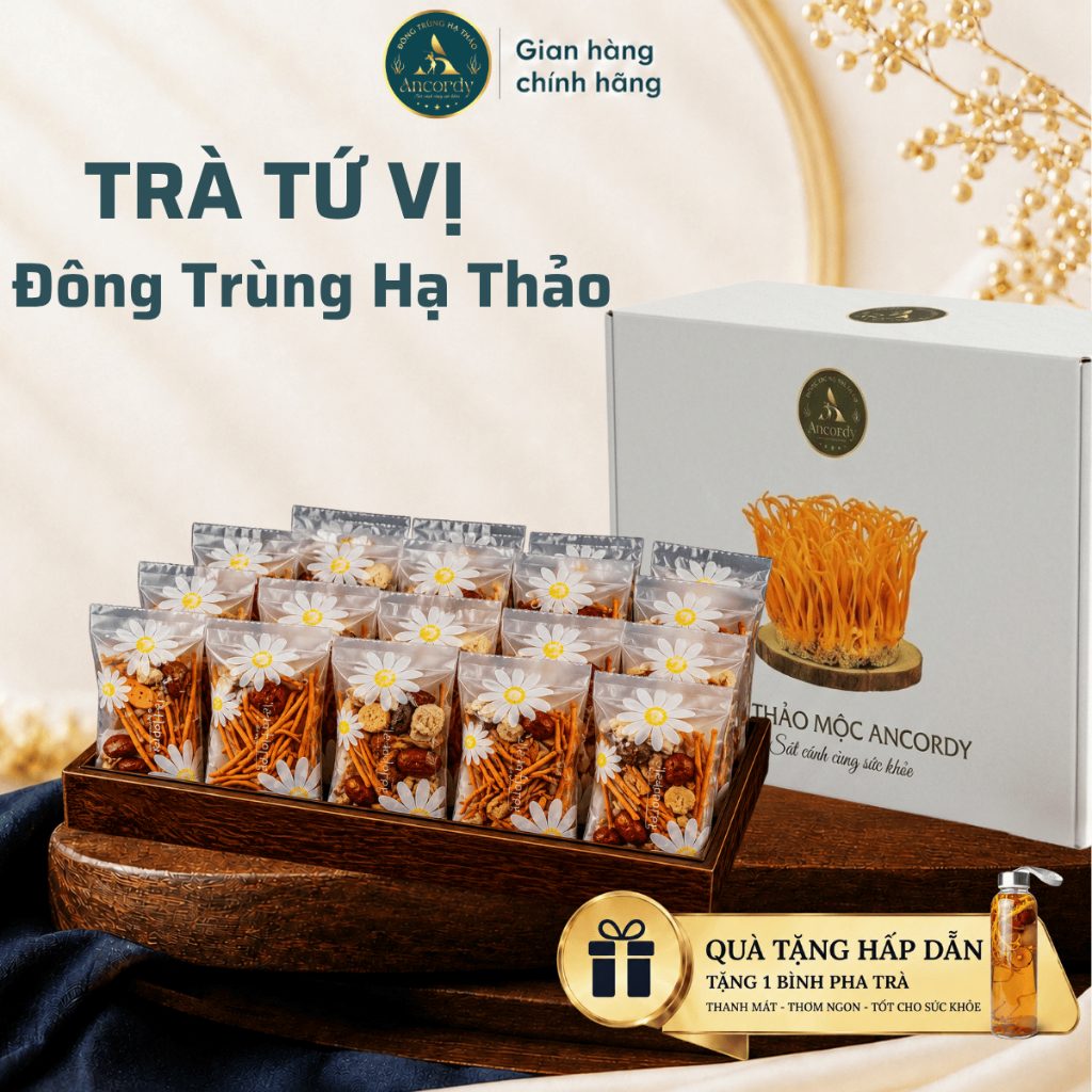 Trà Đông Trùng Tứ Vị, Đông Trùng Hạ Thảo Kết Hợp Táo Đỏ Kỷ Tử Long Nhãn, Gói Trà Thảo Mộc Ancordy