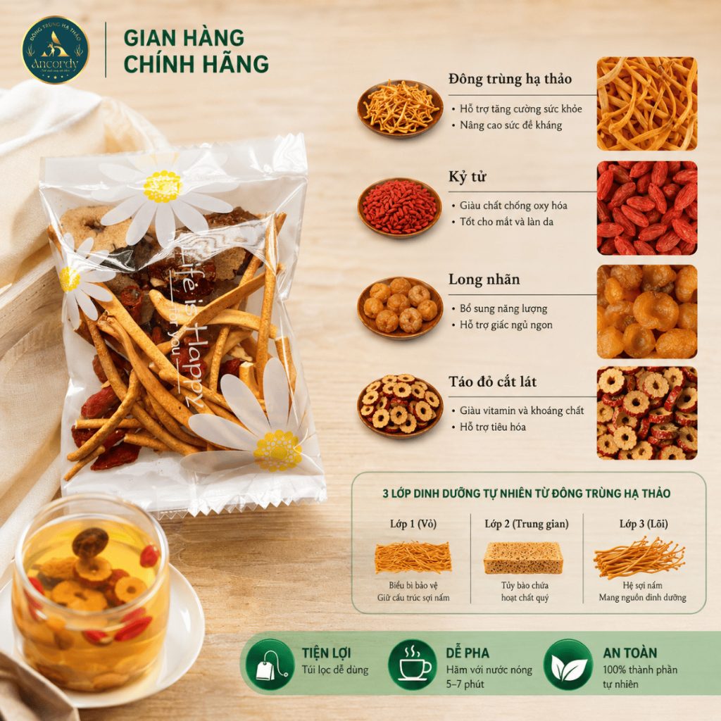Trà Đông Trùng Tứ Vị, Đông Trùng Hạ Thảo Kết Hợp Táo Đỏ Kỷ Tử Long Nhãn, Gói Trà Thảo Mộc Ancordy
