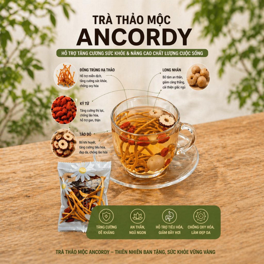 Trà Đông Trùng Tứ Vị, Đông Trùng Hạ Thảo Kết Hợp Táo Đỏ Kỷ Tử Long Nhãn, Gói Trà Thảo Mộc Ancordy